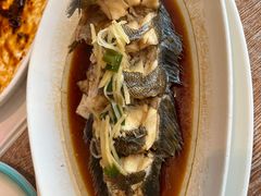 清蒸大黄花鱼-渔家颂歌渔家味道(青石路店)