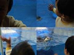 -太平洋海底世界