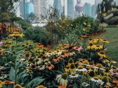 -北外滩滨江绿地