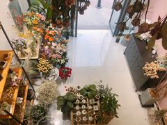 -花生FM_FLOWERS