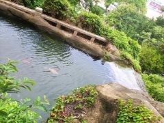 -厦门鸿山寺