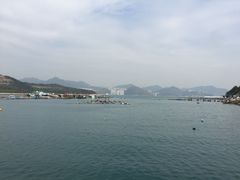 -中环4号渡轮码头