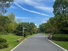 -东平国家森林公园