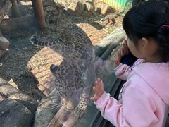 -昆明动物园