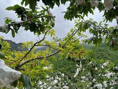 -萝卜寨羌文化生态旅游区