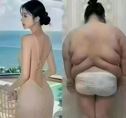 -香薇妮丝·定制减肥·身材管理