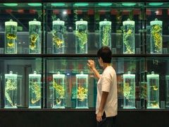 -广东中医药博物馆