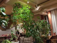 -慢丽江·云南野生菌土鸡锅(付家庄店)