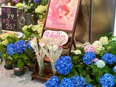 -城西优品道广场