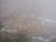 -众神白水涧景区