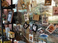 -小呆的宠物店·宠物售卖·宠物寄养(城西店)