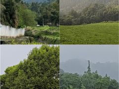 -敬亭山风景名胜区