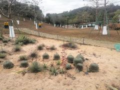 -东莞植物园