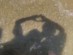 -碧海金沙