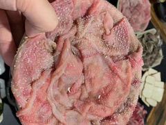 血毛肚-化龙桥九宫格火锅(清水河店)