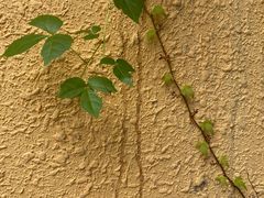 -厦门日月谷温泉渡假村