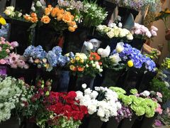 -ChaKo Flora ·茶子花艺 (市北店)