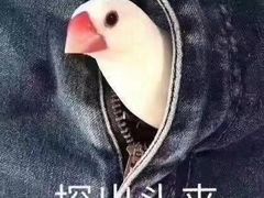 -卓粤拉肠(红庙店)