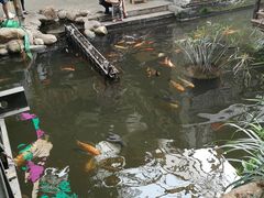 -鹅城
