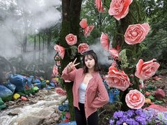 -洛阳白云山景区