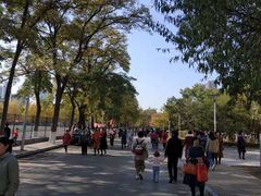 -辽宁大学(崇山校区)