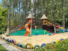 -合肥滨湖国家森林公园