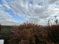 -上海佘山国家森林公园西佘山园