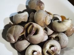 水煮香螺-胖大嫂渔家排档·全海景餐厅(渔村店)