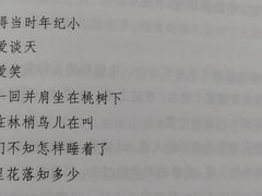 -厦门市图书馆(集美新城馆区)