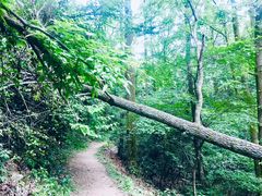 -东天目山风景区