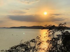 -上海市保健医疗中心