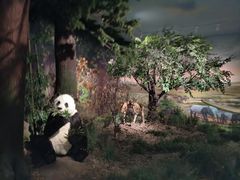 -湖南省地质博物馆