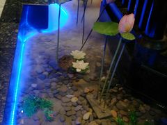 -章丘宴(唐人中心店)