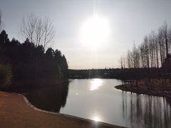 -东平国家森林公园