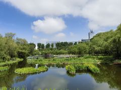 -长春市南湖公园