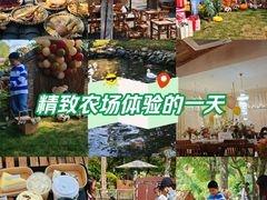 -HERRE·FARM 赫尔露营农场·团建聚会包场