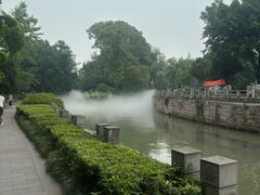 -桂湖森林公园