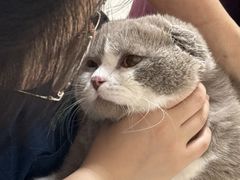 -瑞派康怡24h宠物医院·犬猫医疗中心·微创绝育(瑞景分院)