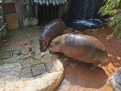 -长鹿旅游休博园