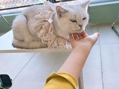 -怪兽屋·羊驼·猫咖·狗咖(俊华广场店)