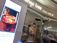 -mango tree芒果树泰国餐厅(青岛万象城店)