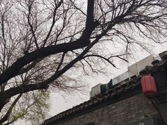 -增盛魁小吃店