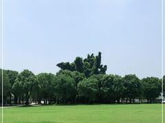 -上海月湖雕塑公园