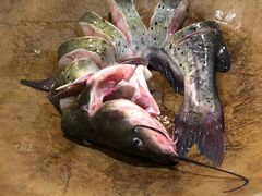 -云中鱼蒸汽石锅鱼(川沙百联店)