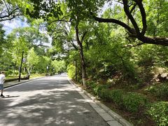 -北山公园