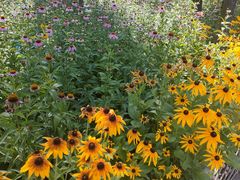 -森林公园(尖草坪区)