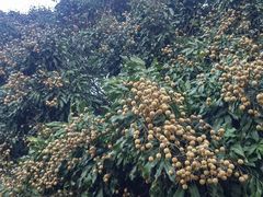 -飞霞风景名胜区