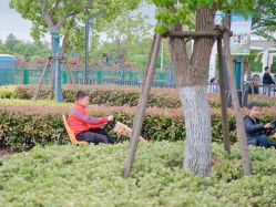 -季高兔窝窝亲子园(上海薰衣草公园店)