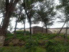 -西青郊野公园
