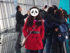 -上海环球金融中心云端足球盛典